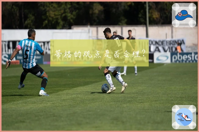 蒂格的观点是否合理？